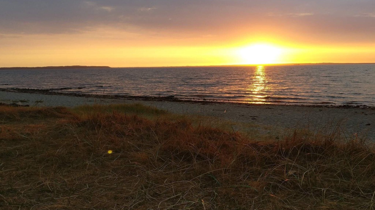 Photo of Others in Bogense