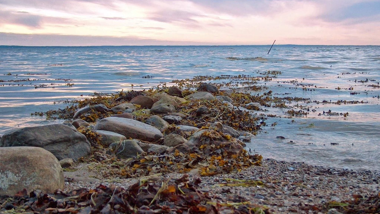 Photo of Others in Bogense