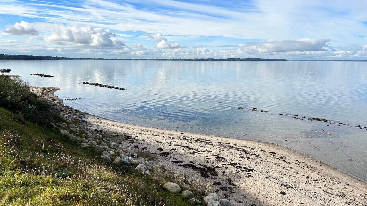 Photo of Others in Bogense