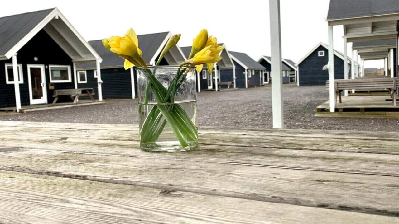 Photo of Outdoor in Thyboron