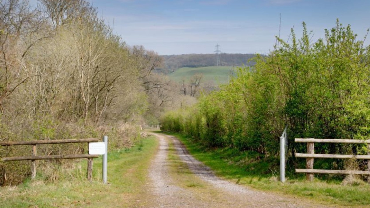 Photo of Others in Saint Blazey