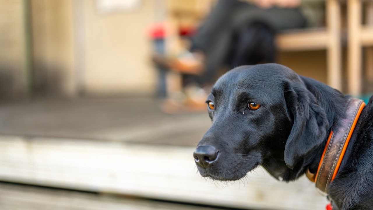 Photo of Others in Saxmundham