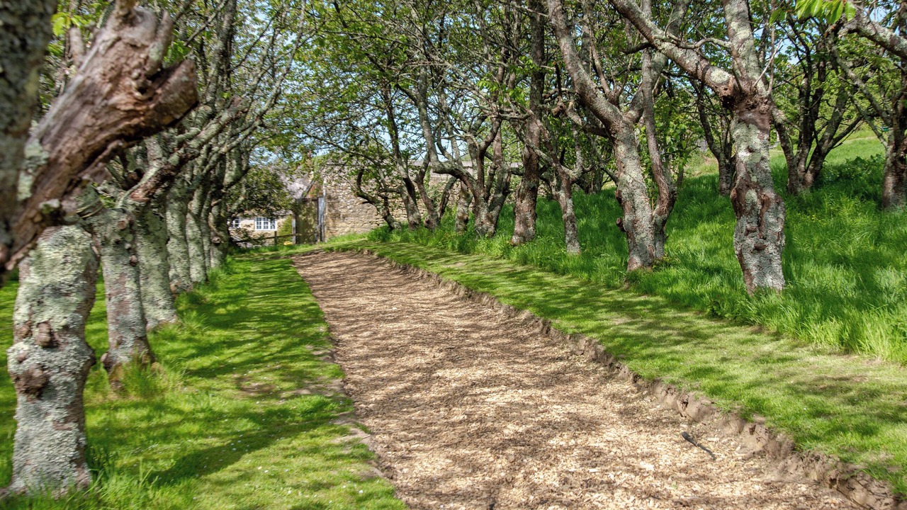 Photo of Others in Bridport