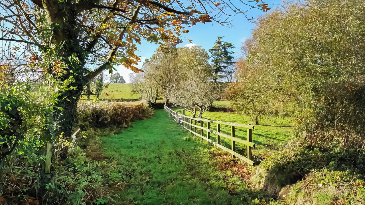 Photo of Others in Axminster