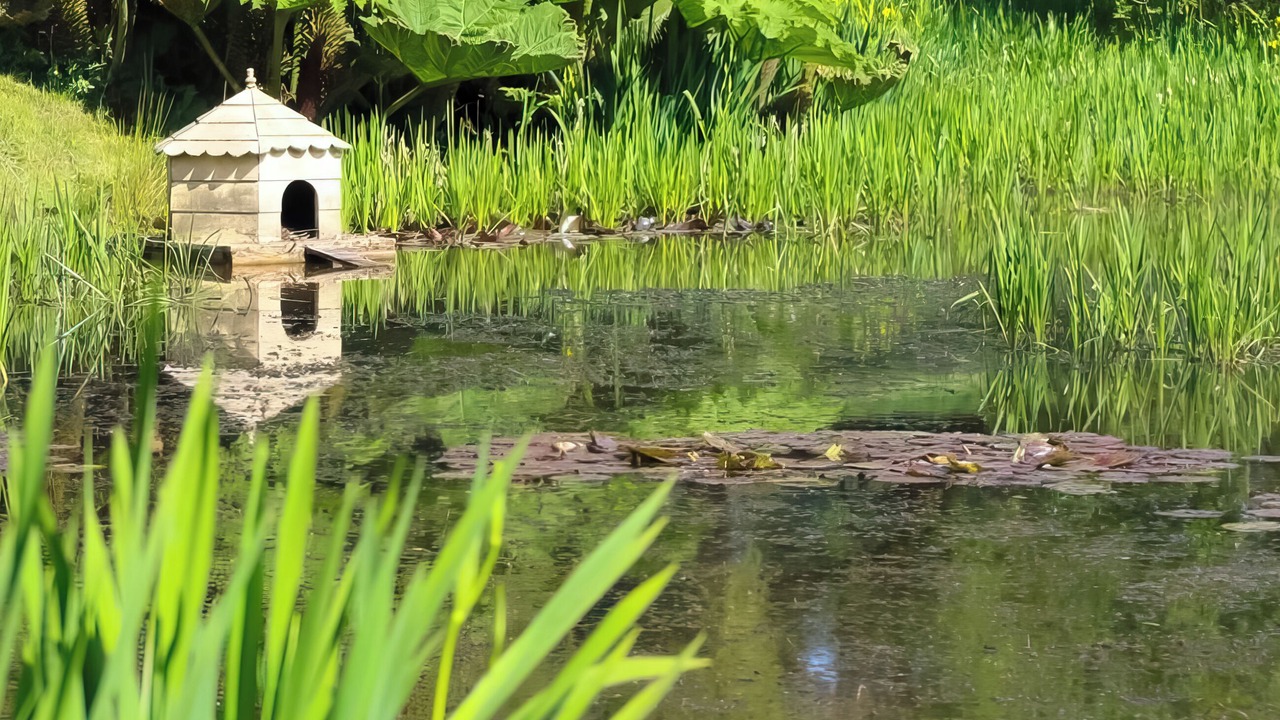 Photo of Others in Axminster