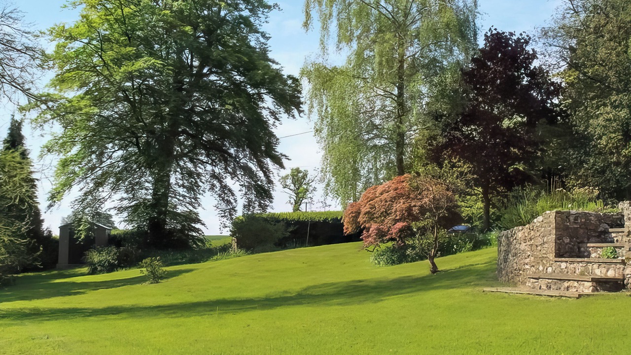 Photo of Others in Axminster