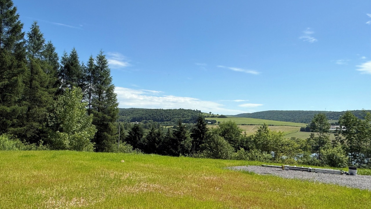 Photo of Others in New Woodstock