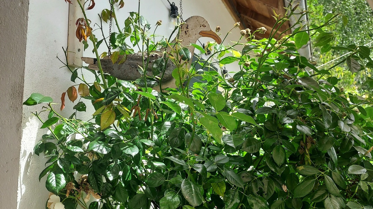 Photo of Outdoor in Cucq