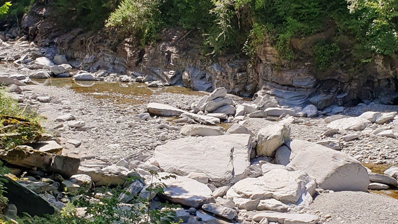 Photo of Others in Foroglio
