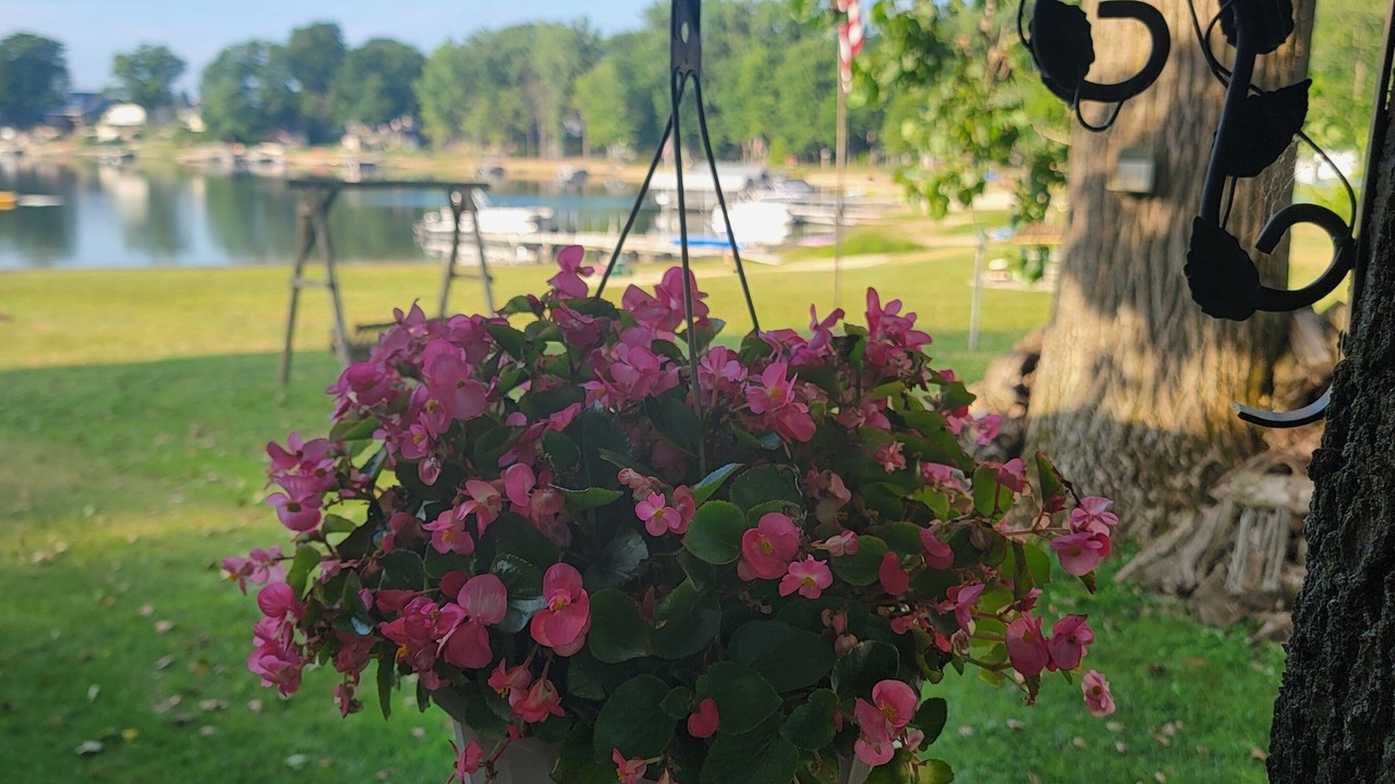 Photo of Outdoor in Coral