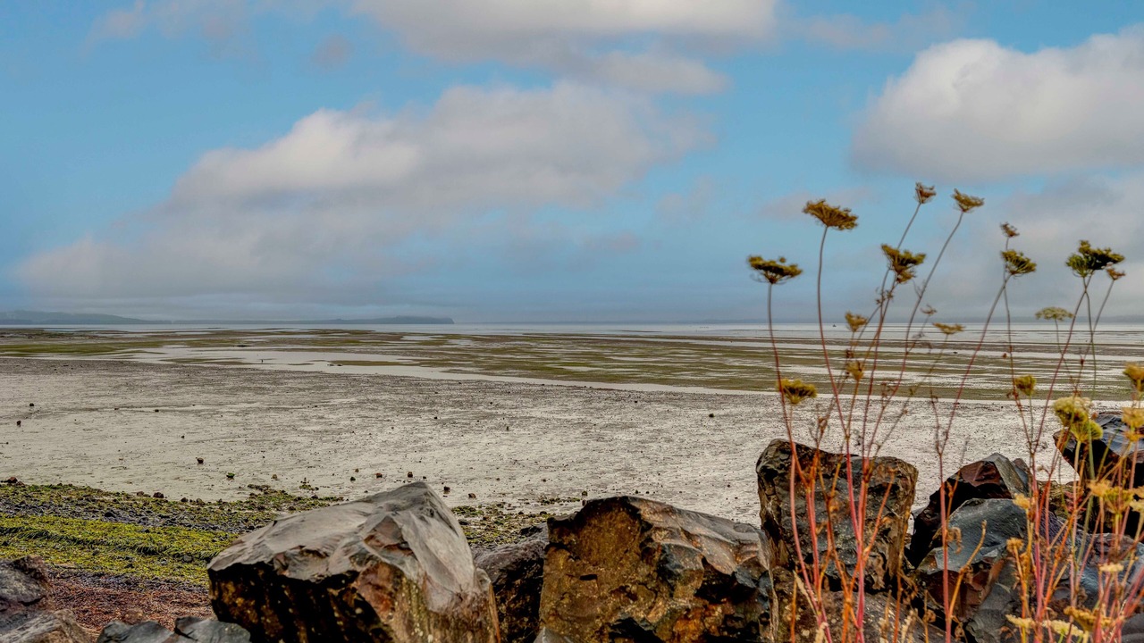Photo of Others in South Bend