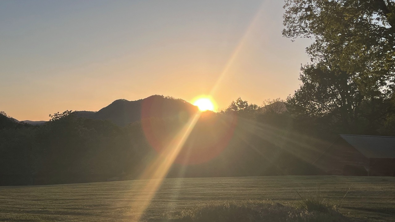 Photo of Others in Lynn