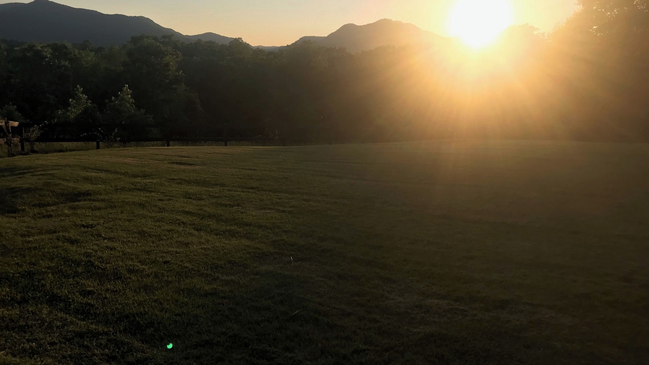 Photo of Others in Lynn