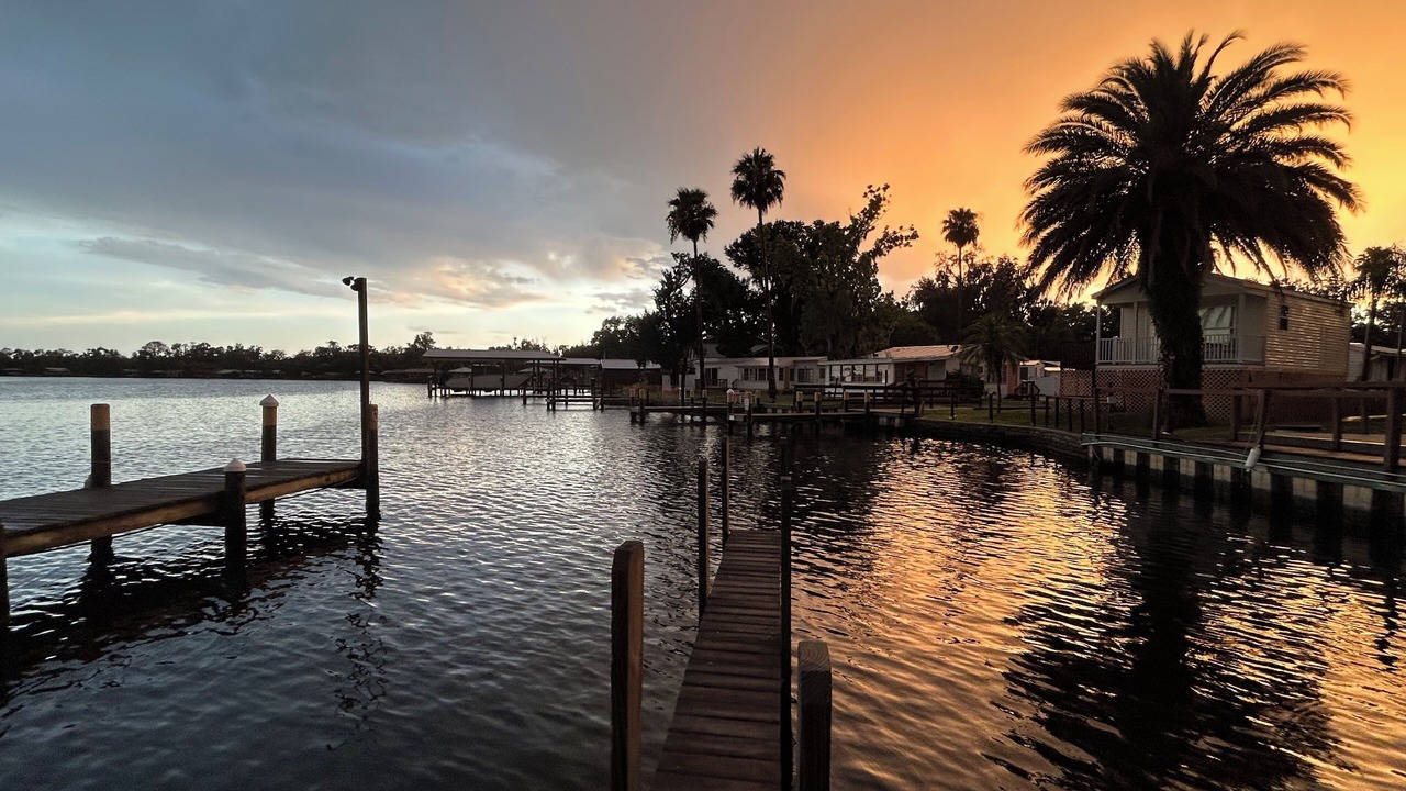 Photo of Others in Homosassa
