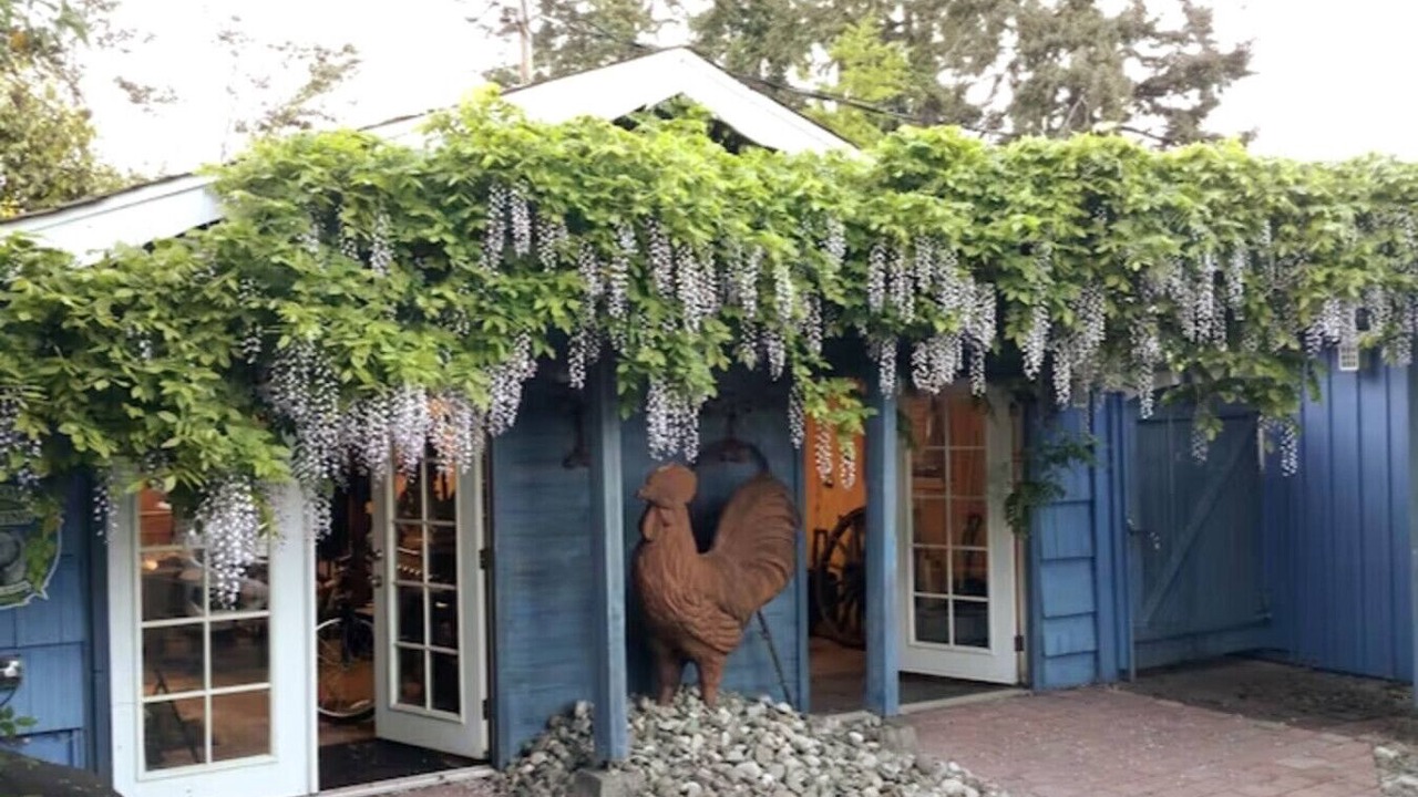 Photo of Outdoor in Bremerton