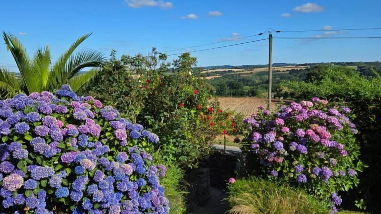 Photo of Outdoor in Cleguerec