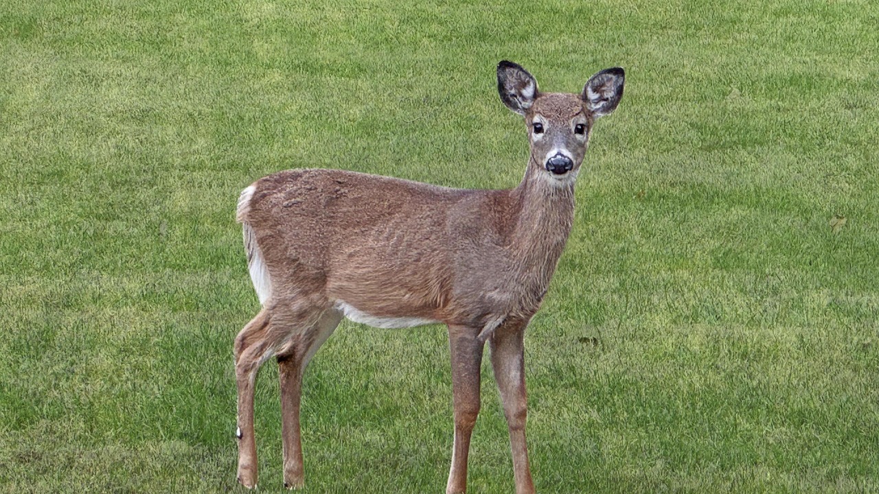 Photo of Others in Warwick