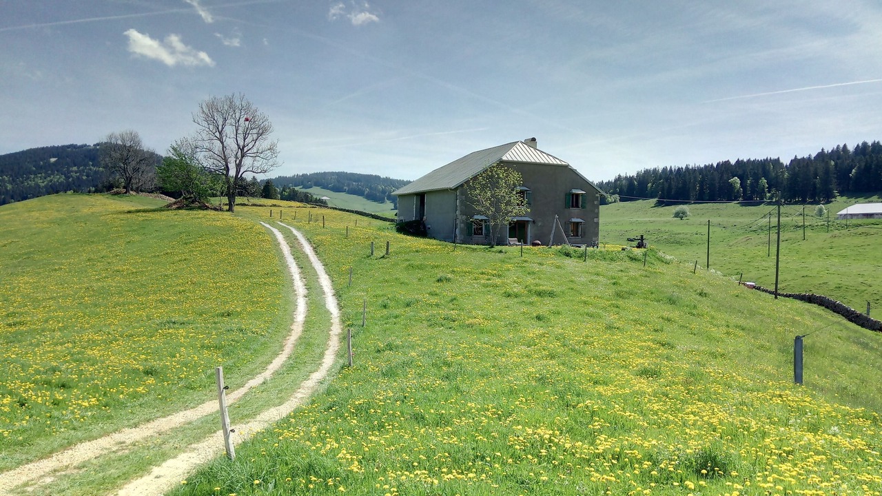 Photo of Outdoor in Saint-Cergue