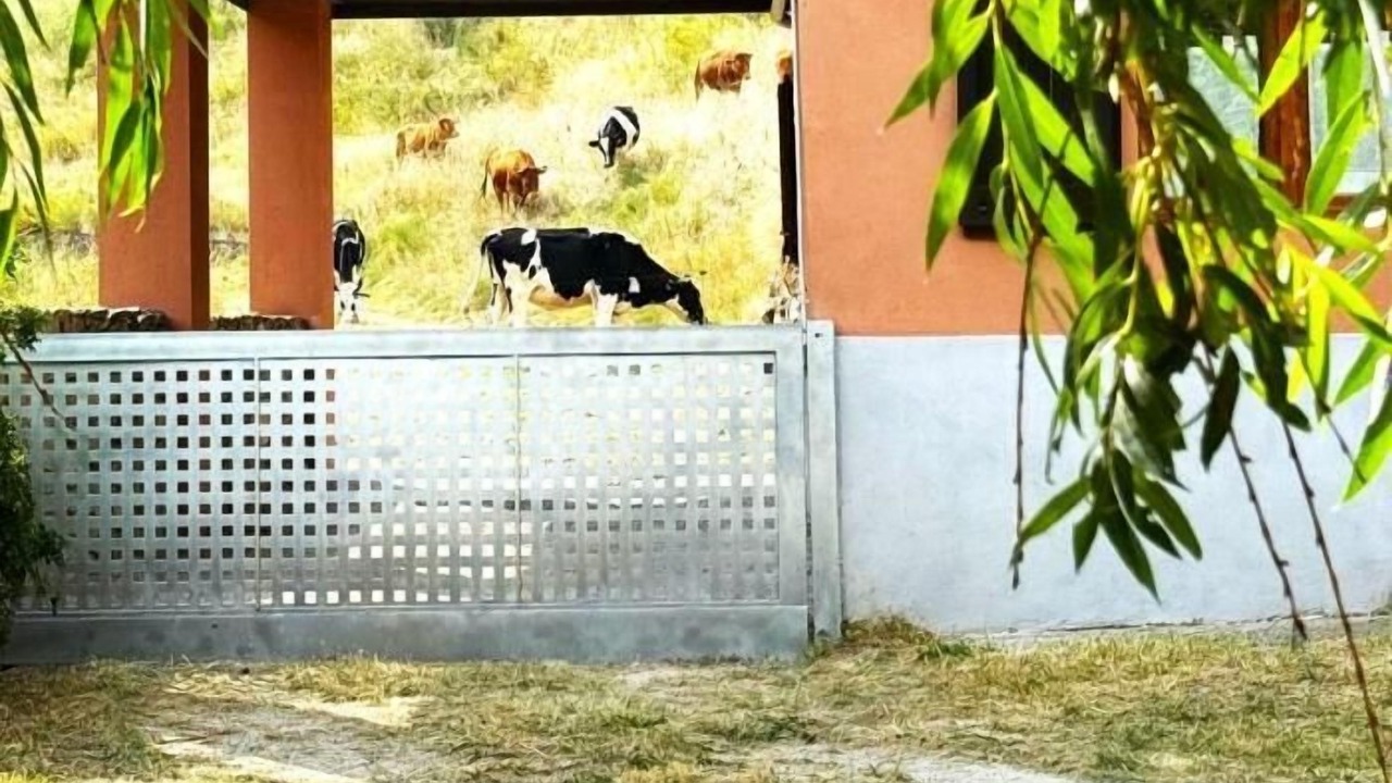 Photo of Others in La Molina