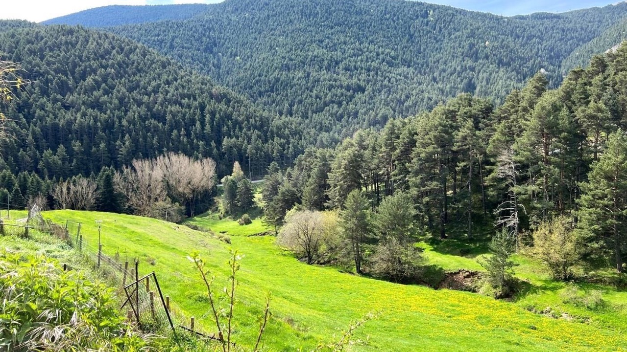 Photo of Others in La Molina