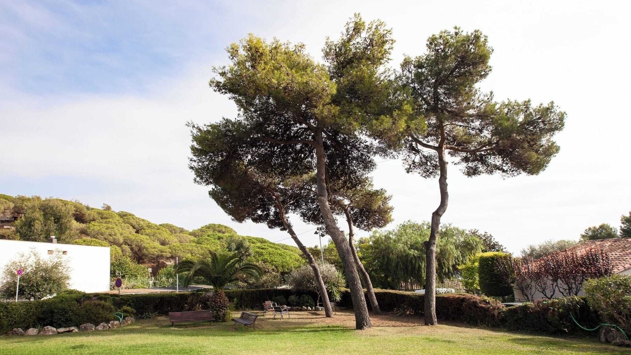 Photo of Others in Sant Pol De Mar