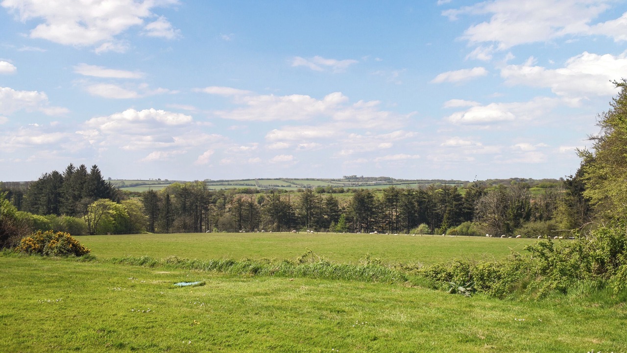 Photo of Others in Brayford