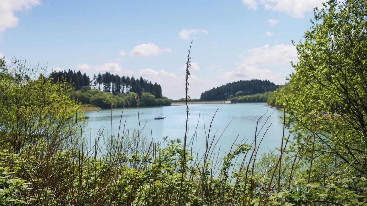 Photo of Others in Brayford