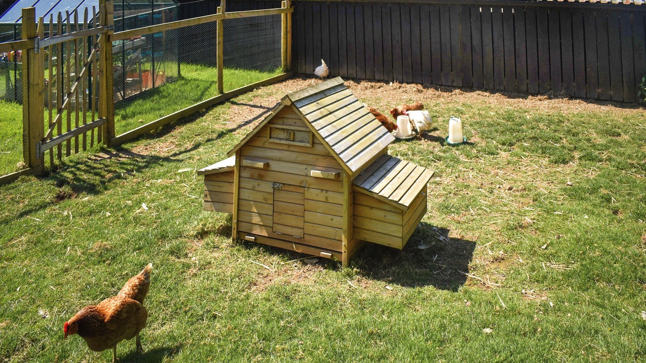 Photo of Outdoor in Brayford