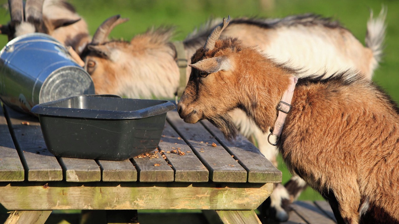 Photo of Outdoor in Brayford
