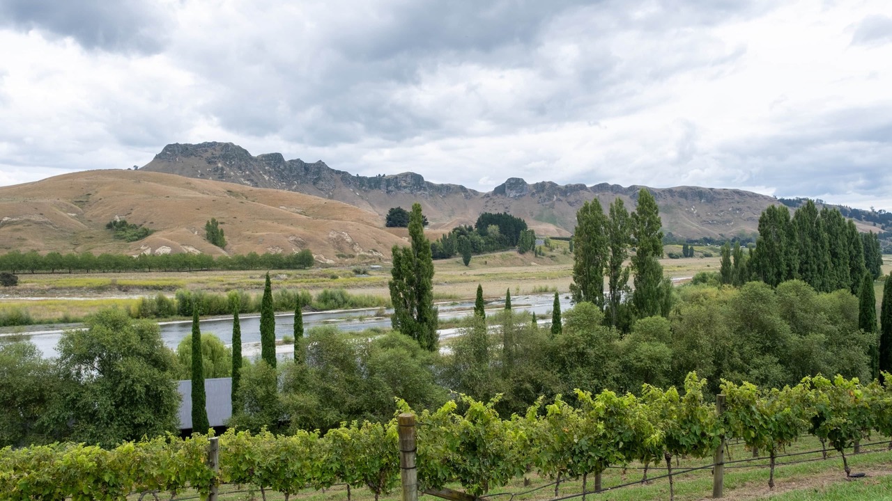 Photo of Others in Tuki Tuki