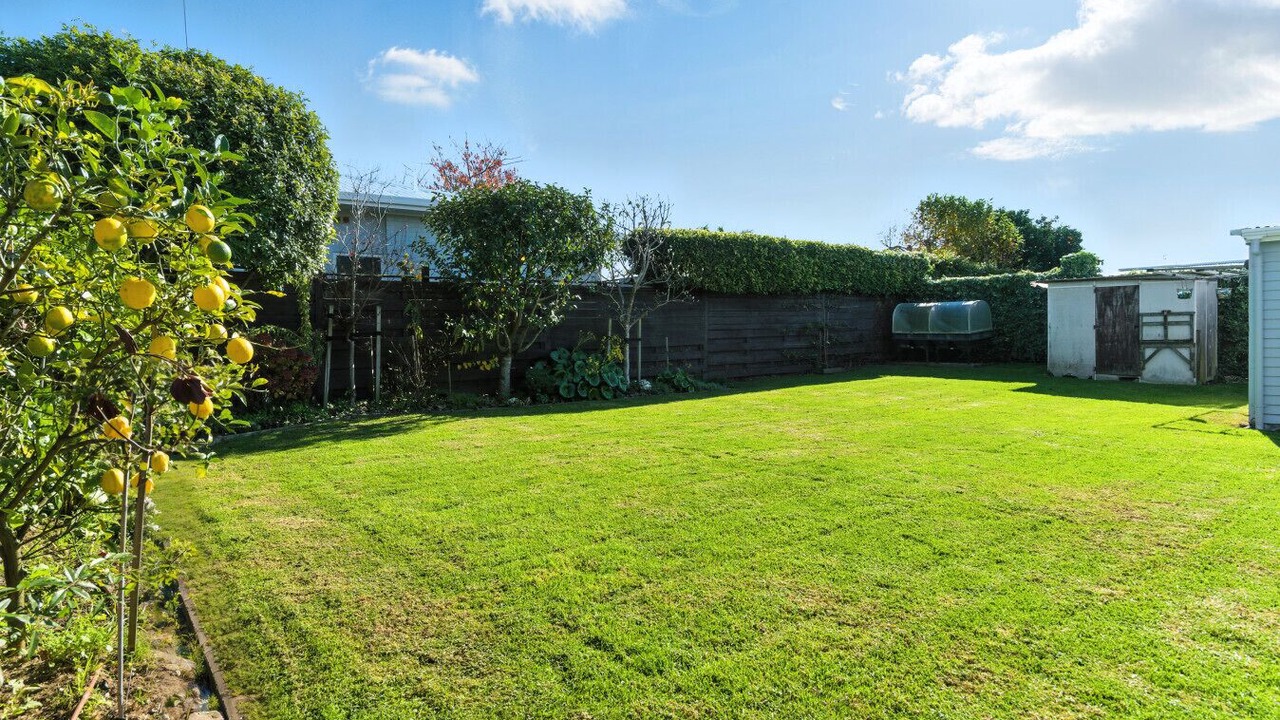 Photo of Outdoor in Otumoetai