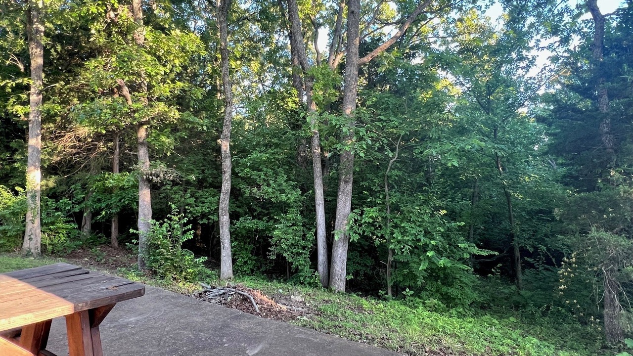 Photo of Outdoor in Lake Forest Estates