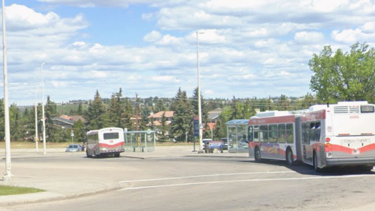 Photo of Others in Northwest Calgary
