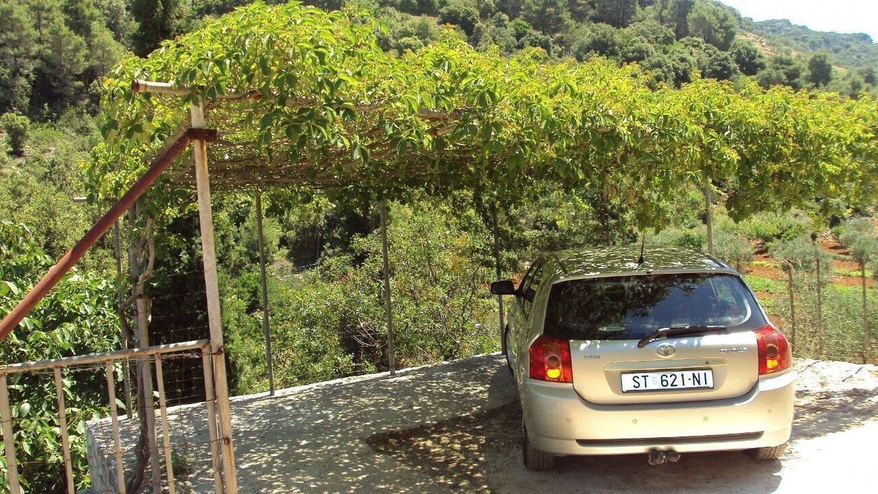Photo of Outdoor in Praznica