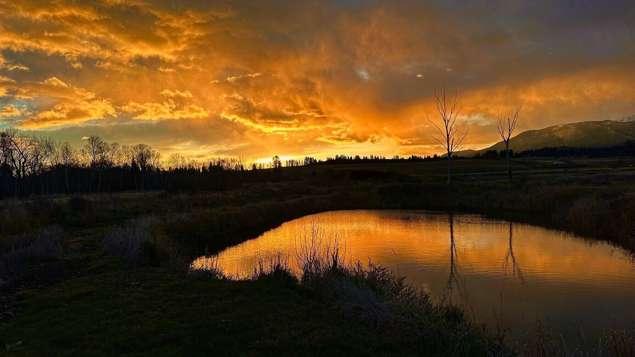 Photo of Others in Joseph