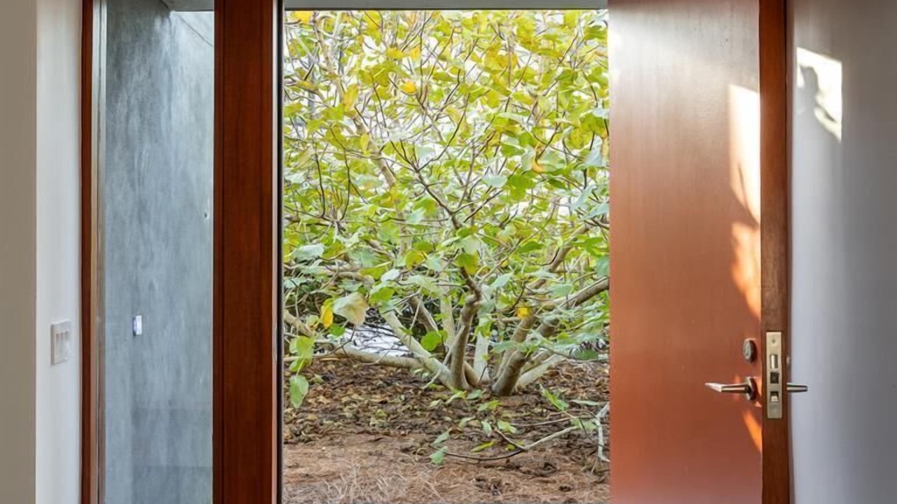 Photo of Outdoor in Bethany Beach