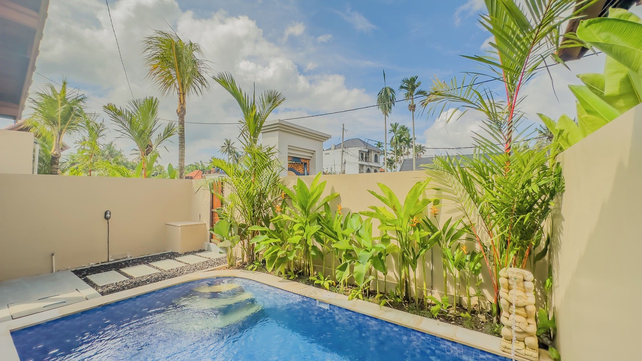 Photo of Outdoor in Petulu