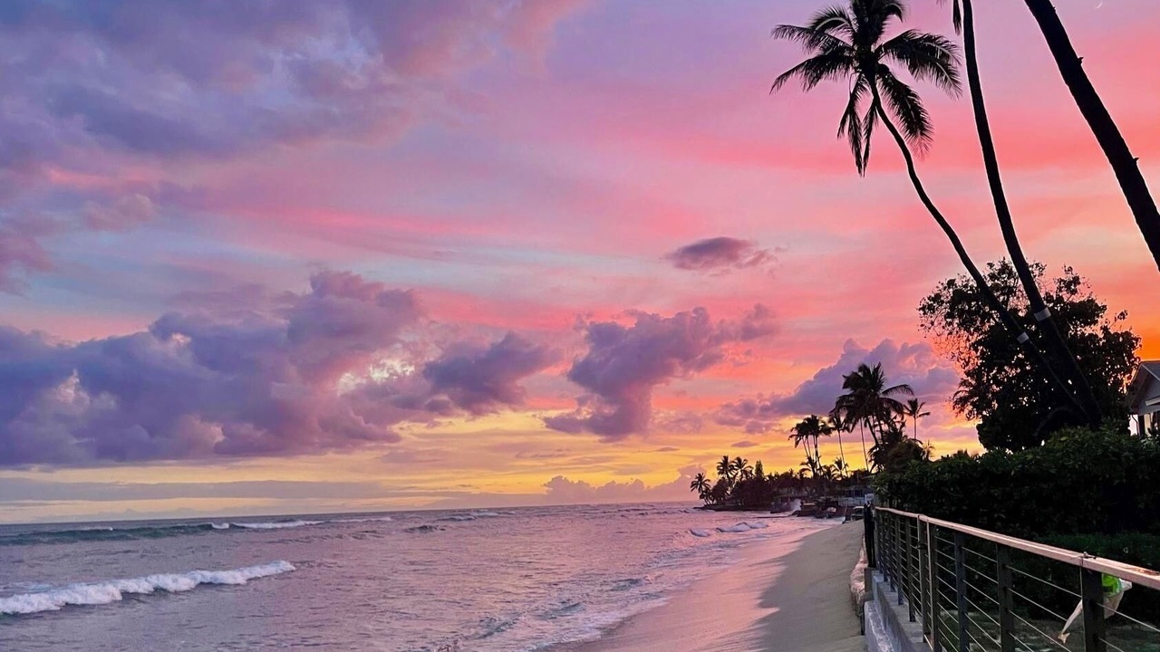 Photo of Others in Ewa