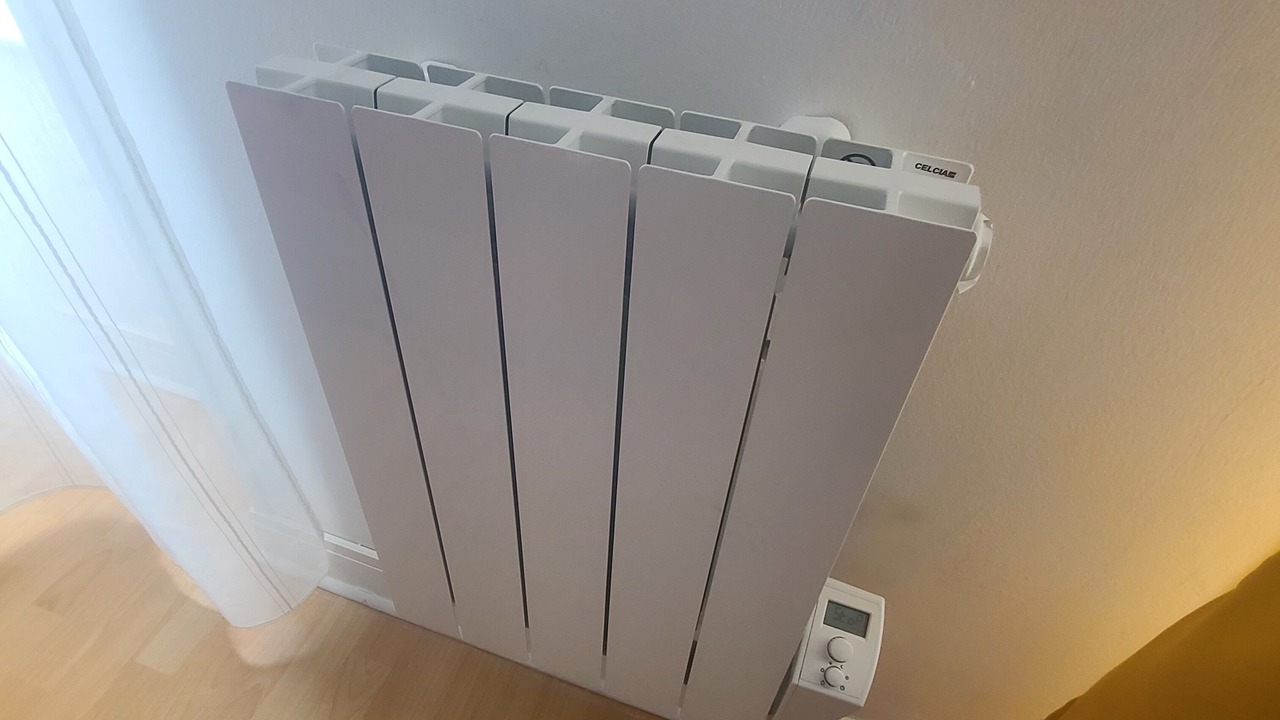 Photo of Others in Saint-Marc