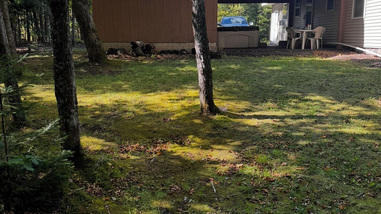 Photo of Outdoor in White Pine