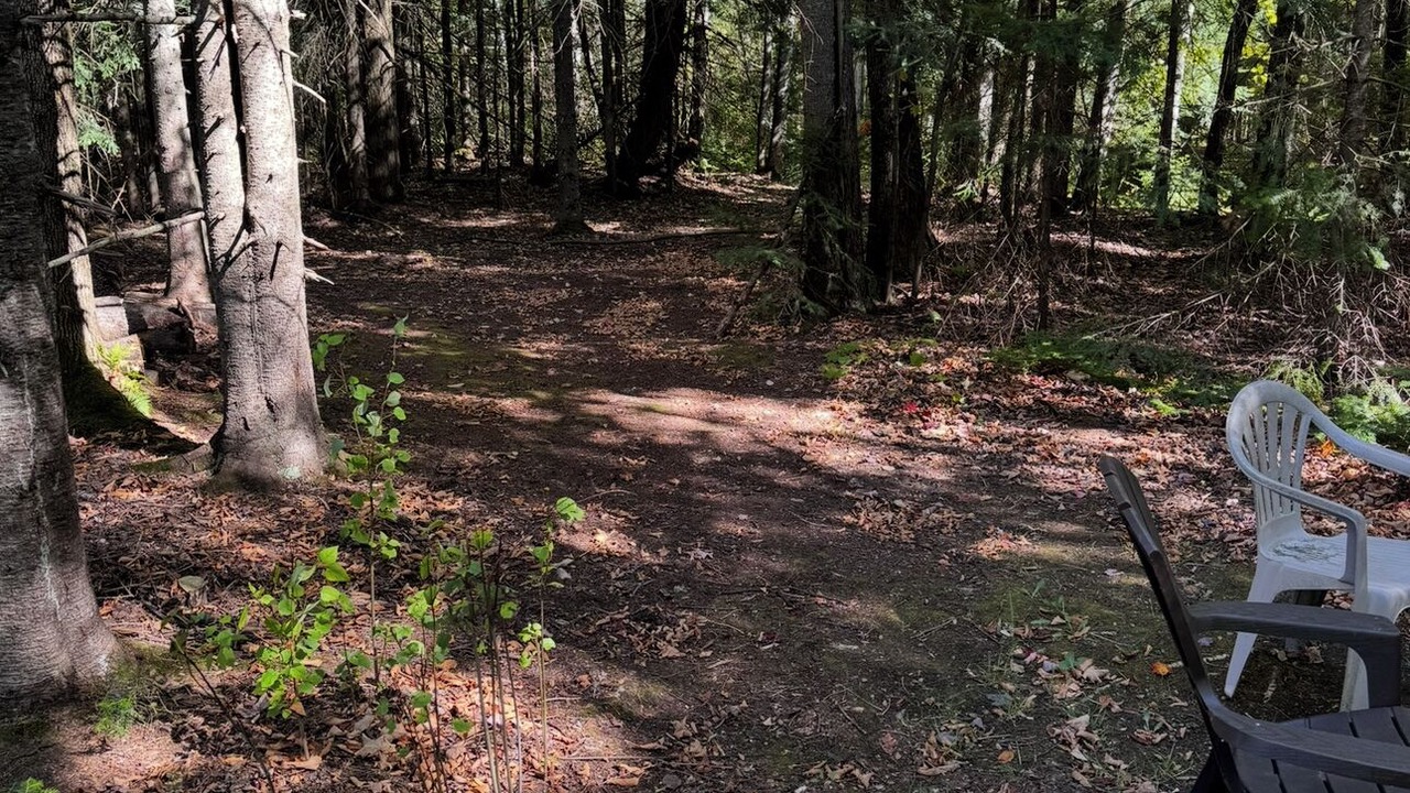 Photo of Outdoor in White Pine