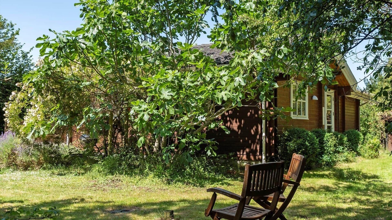 Photo of Outdoor in Store Kongsmark