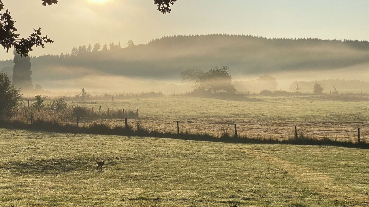 Photo of Others in Champnetery