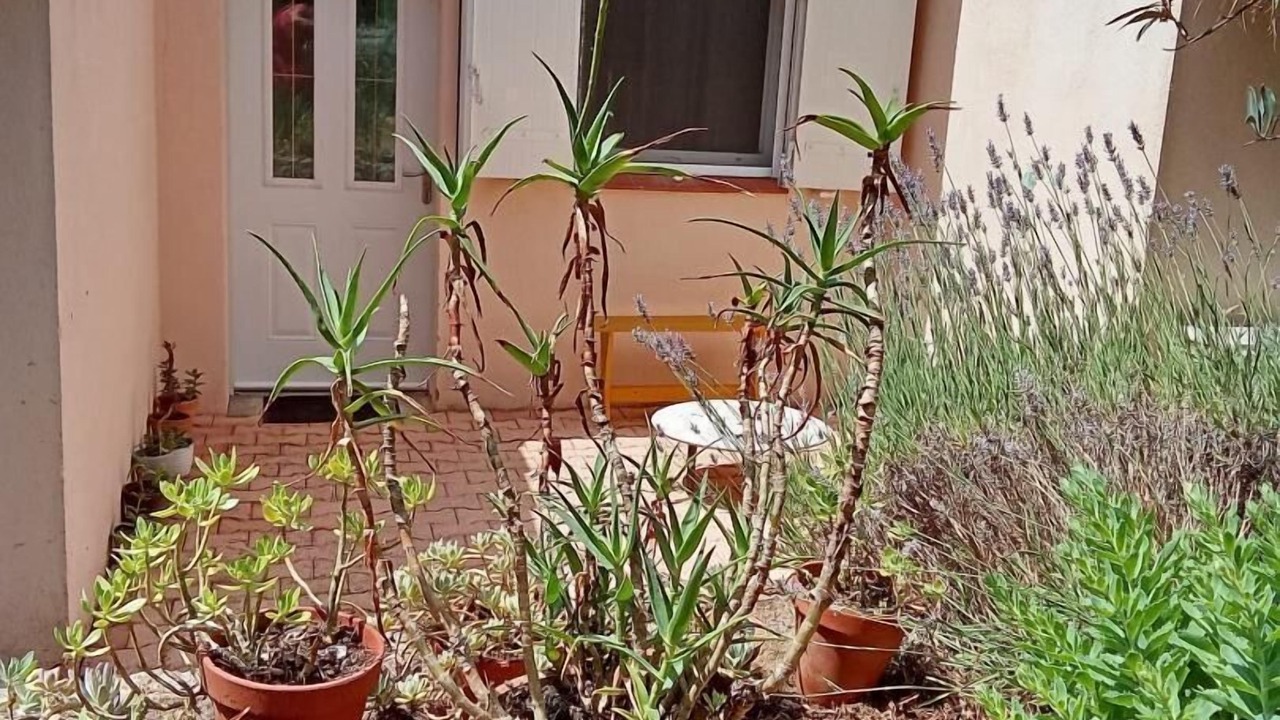 Photo of Outdoor in Saint-Maximin-la-Sainte-Baume