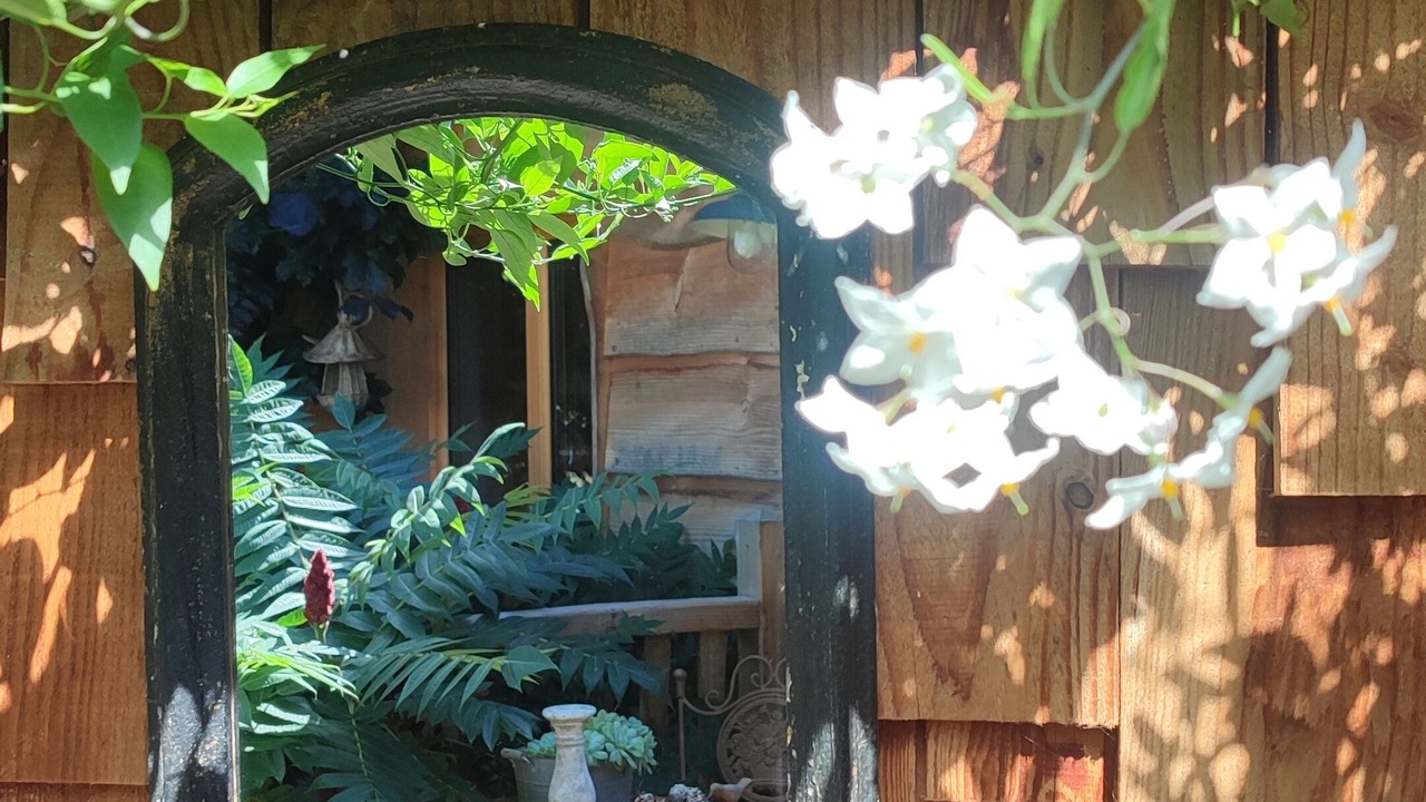 Photo of Outdoor in Laval