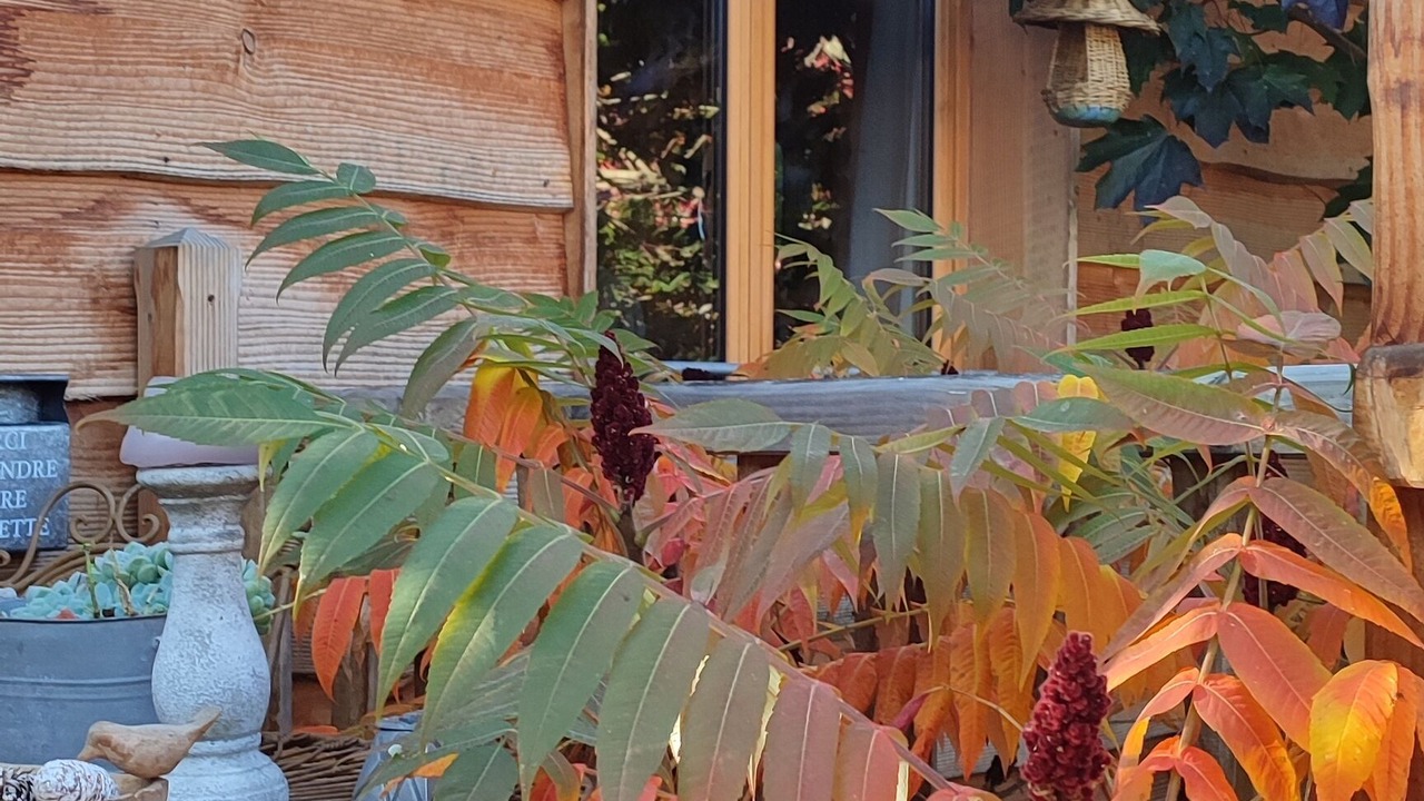 Photo of Outdoor in Laval