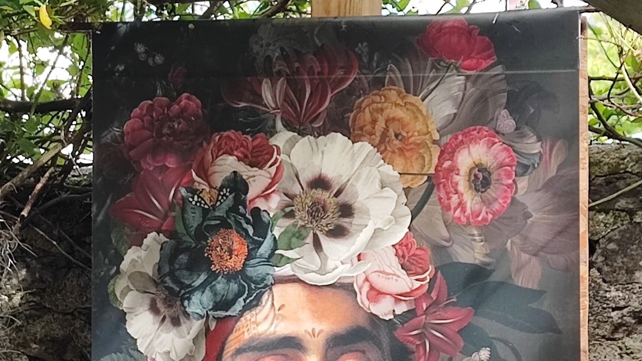 Photo of Outdoor in Laval