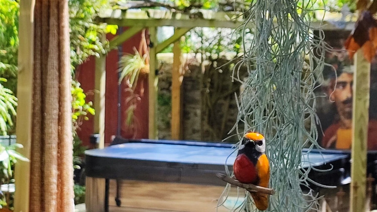 Photo of Outdoor in Laval