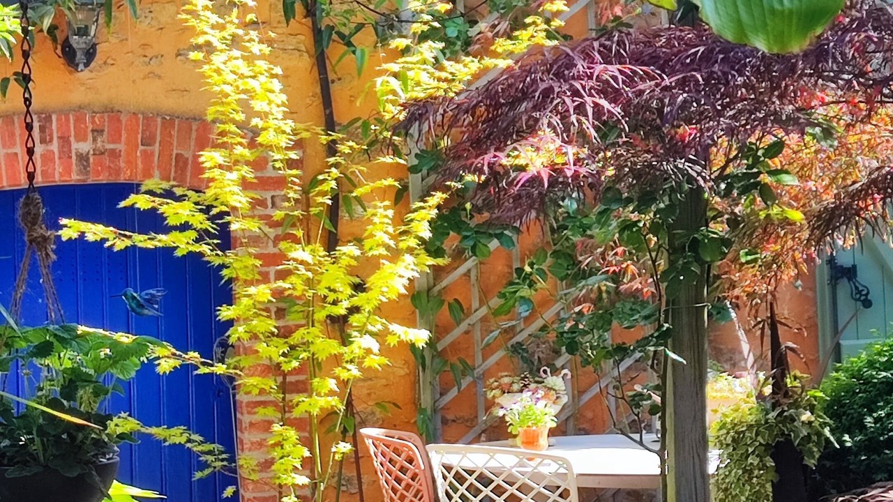 Photo of Outdoor in Laval