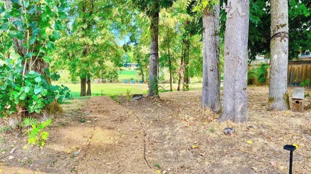 Photo of Outdoor in Grants Pass